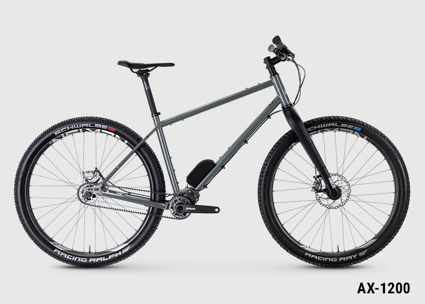 Ax-Series vsf fahrradmanufaktur